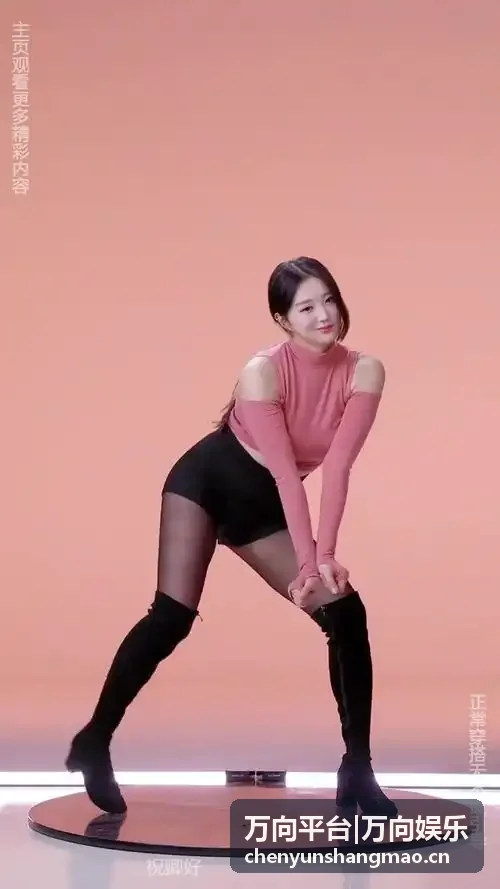 万向平台底层智能加速架构